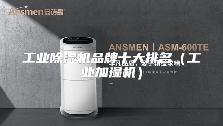 工业除湿机品牌十大排名（工业加湿机）