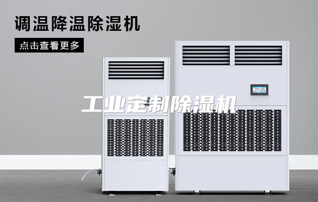 工业定制除湿机