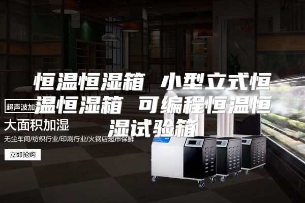 恒温恒湿箱 小型立式恒温恒湿箱 可编程恒温恒湿试验箱