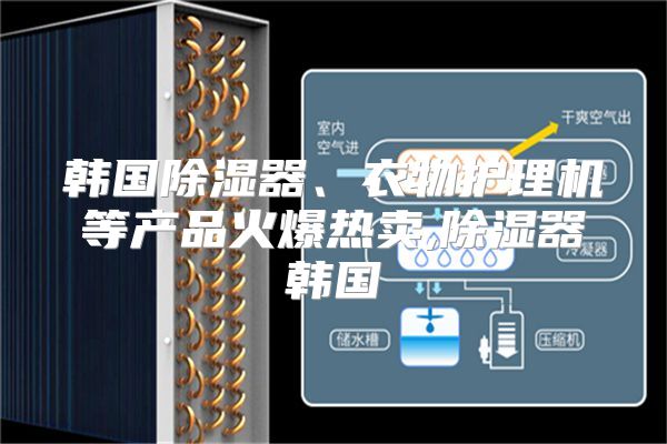 韩国除湿器、衣物护理机等产品火爆热卖,除湿器韩国