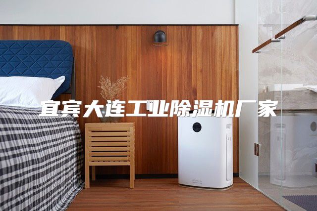 宜宾大连工业除湿机厂家