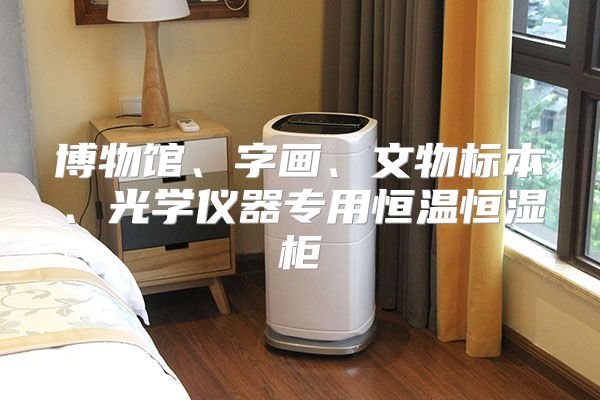 博物馆、字画、文物标本、光学仪器专用恒温恒湿柜