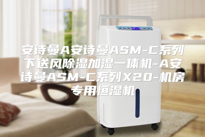 安诗曼A安诗曼ASM-C系列下送风除湿加湿一体机-A安诗曼ASM-C系列X20-机房专用恒湿机