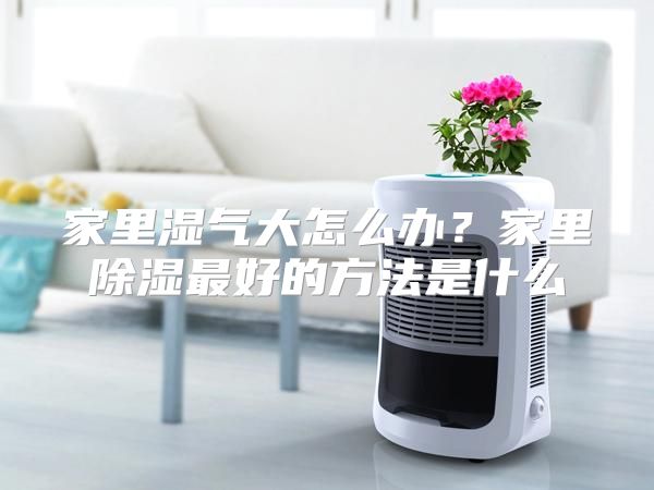 家里湿气大怎么办？家里除湿最好的方法是什么