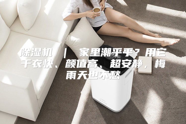 除湿机 ｜ 家里潮乎乎？用它干衣快、颜值高、超安静，梅雨天也不愁