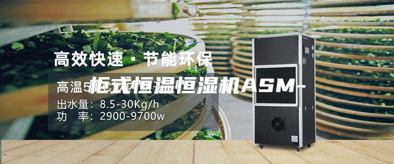 柜式恒温恒湿机ASM-