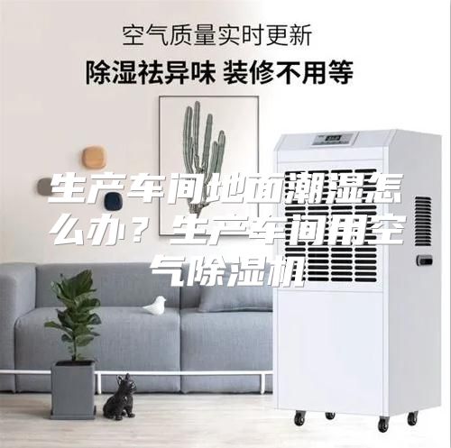 生产车间地面潮湿怎么办？生产车间用空气除湿机