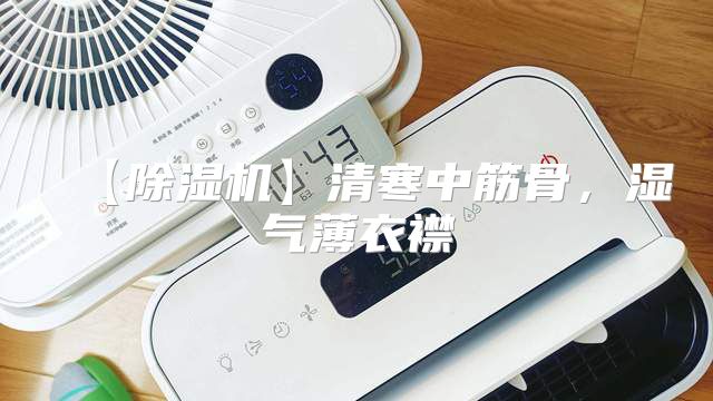 【除湿机】清寒中筋骨，湿气薄衣襟