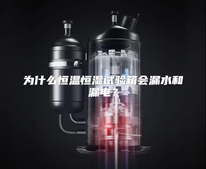 为什么恒温恒湿试验箱会漏水和漏电？