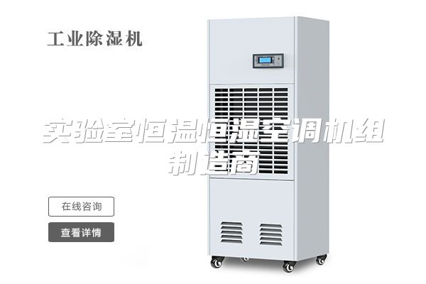 实验室恒温恒湿空调机组制造商