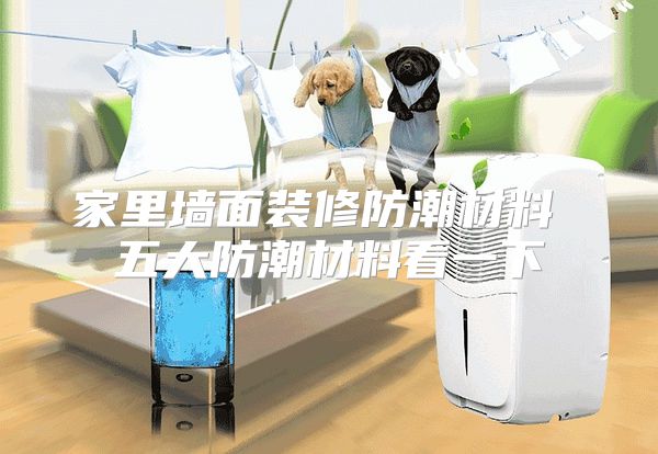 家里墙面装修防潮材料 五大防潮材料看一下