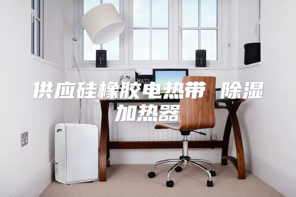 供应硅橡胶电热带 除湿加热器