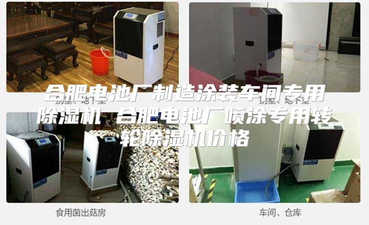 合肥电池厂制造涂装车间专用除湿机 合肥电池厂喷涂专用转轮除湿机价格