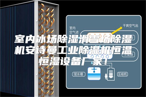室内冰场除湿滑雪场除湿机安诗曼工业除湿机恒温恒湿设备厂家！