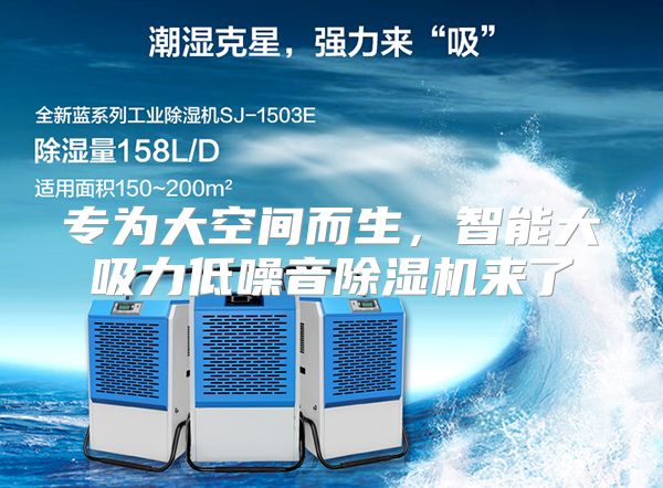 专为大空间而生，智能大吸力低噪音除湿机来了