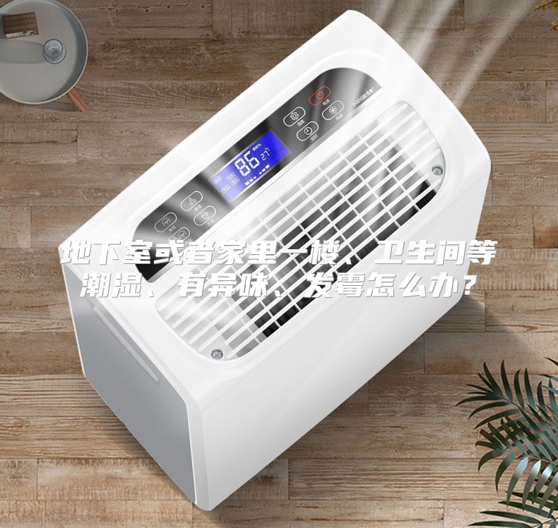 地下室或者家里一楼、卫生间等潮湿、有异味、发霉怎么办？