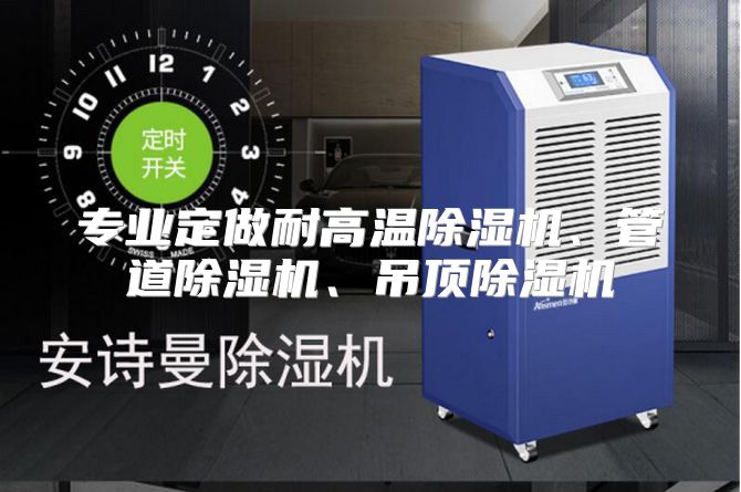 专业定做耐高温除湿机、管道除湿机、吊顶除湿机