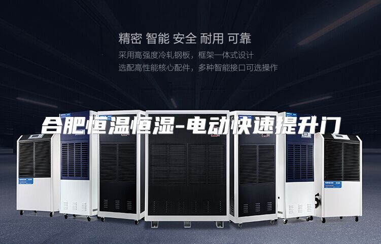 合肥恒温恒湿-电动快速提升门