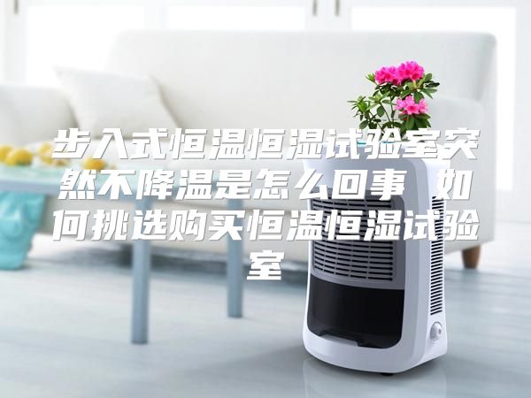步入式恒温恒湿试验室突然不降温是怎么回事 如何挑选购买恒温恒湿试验室