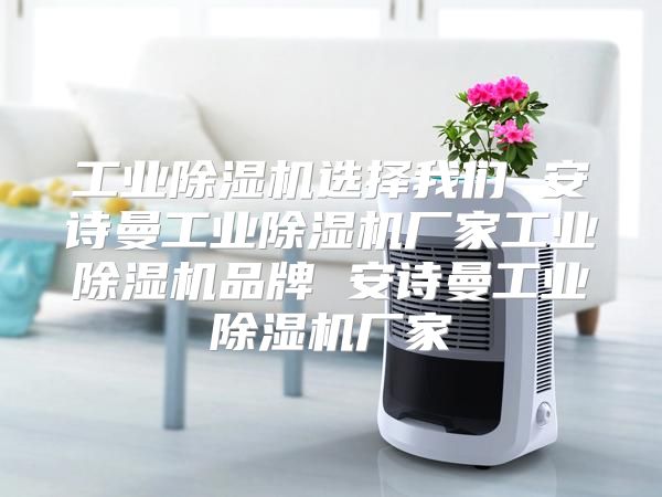 工业除湿机选择我们 安诗曼工业除湿机厂家工业除湿机品牌 安诗曼工业除湿机厂家