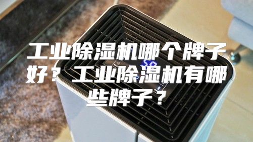 工业除湿机哪个牌子好？工业除湿机有哪些牌子？