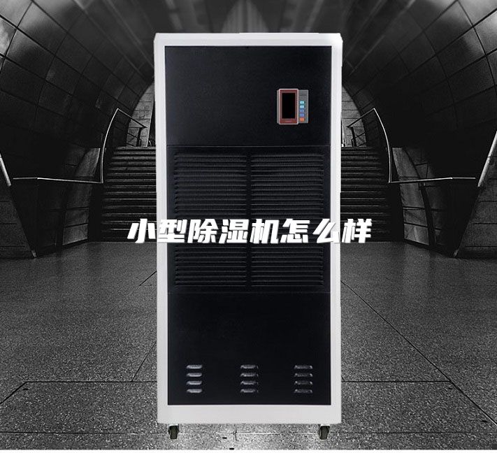 小型除湿机怎么样