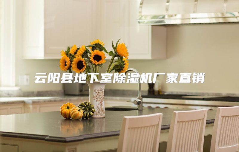 云阳县地下室除湿机厂家直销