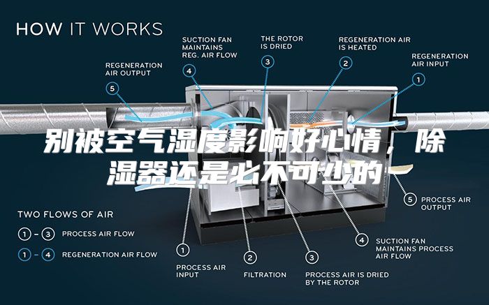 别被空气湿度影响好心情，除湿器还是必不可少的