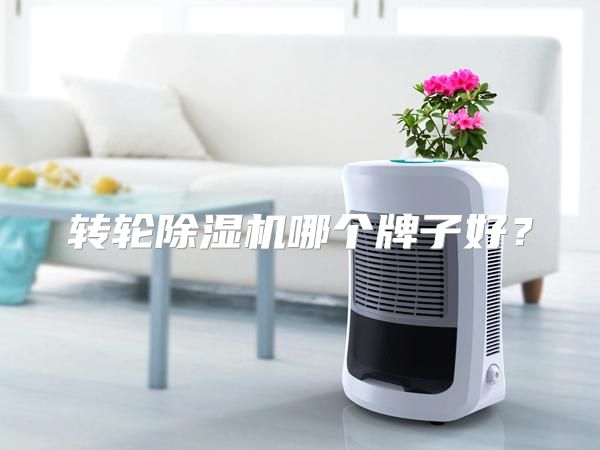 转轮除湿机哪个牌子好？