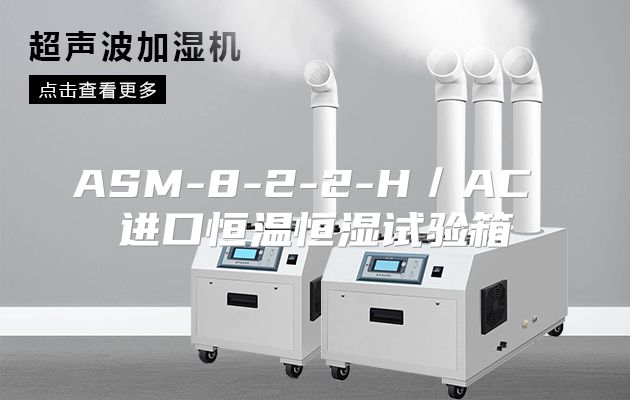 ASM-8-2-2-H／AC 进口恒温恒湿试验箱