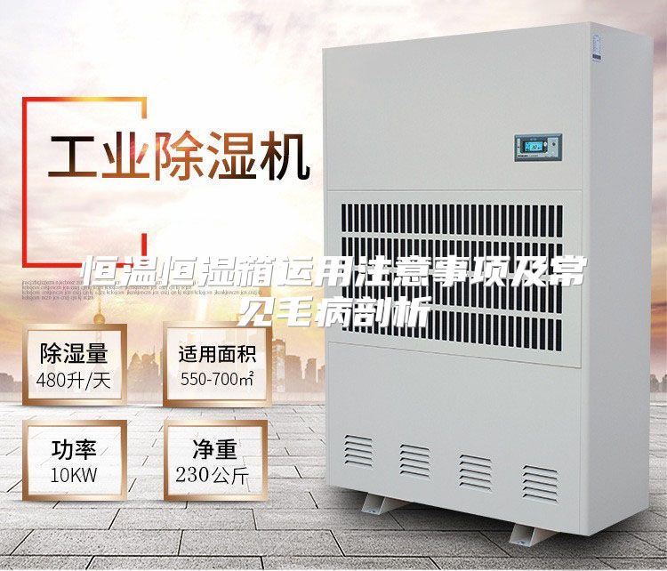 恒温恒湿箱运用注意事项及常见毛病剖析