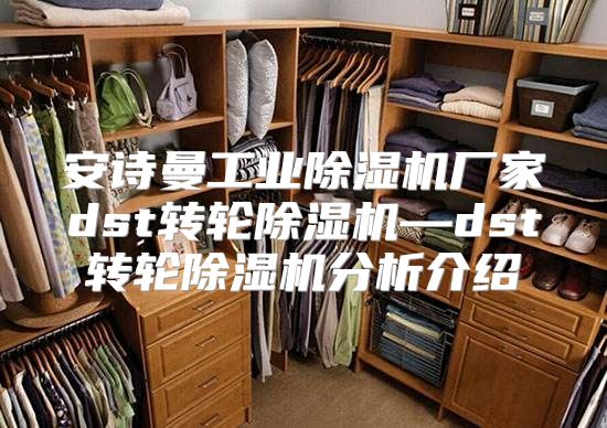 安诗曼工业除湿机厂家dst转轮除湿机—dst转轮除湿机分析介绍
