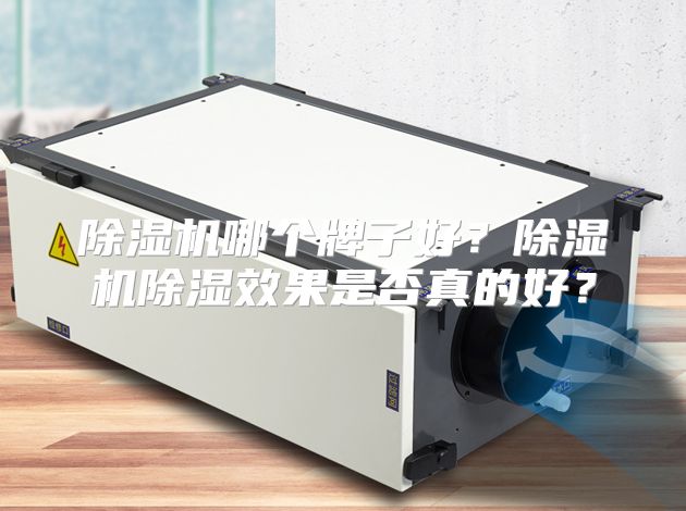 除湿机哪个牌子好？除湿机除湿效果是否真的好？