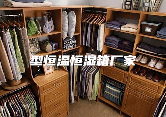 型恒温恒湿箱厂家
