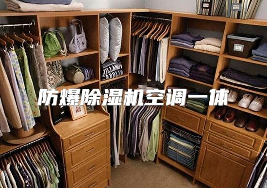 防爆除湿机空调一体