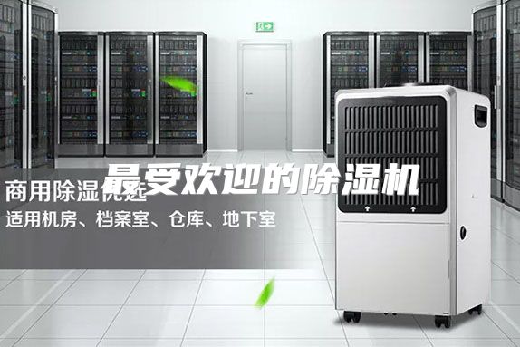 最受欢迎的除湿机