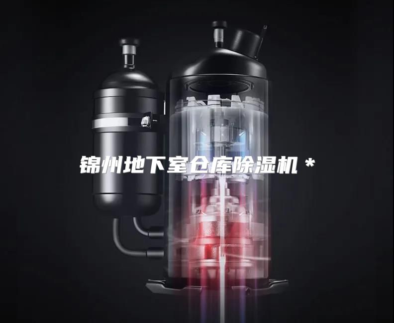 锦州地下室仓库除湿机＊