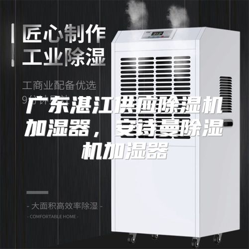 广东湛江供应除湿机加湿器，安诗曼除湿机加湿器