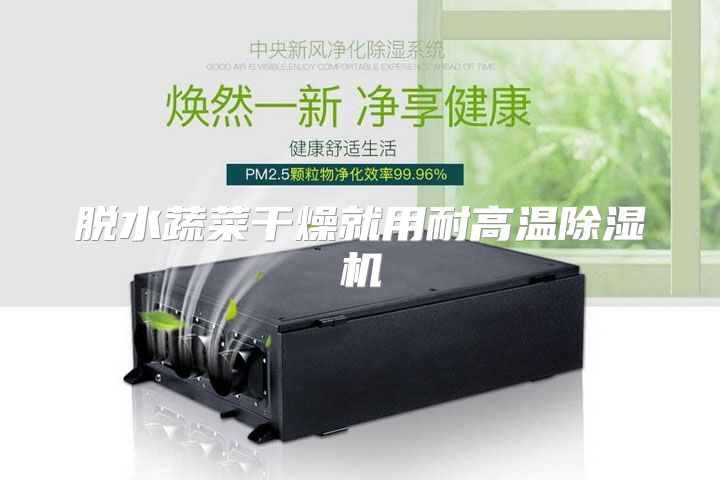 脱水蔬菜干燥就用耐高温除湿机