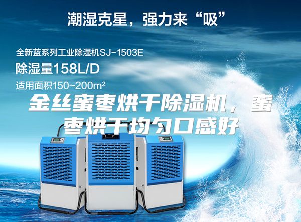 金丝蜜枣烘干除湿机，蜜枣烘干均匀口感好