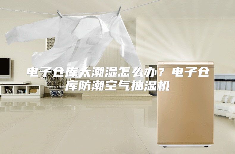 电子仓库太潮湿怎么办？电子仓库防潮空气抽湿机