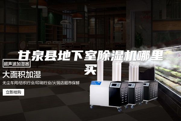 甘泉县地下室除湿机哪里买