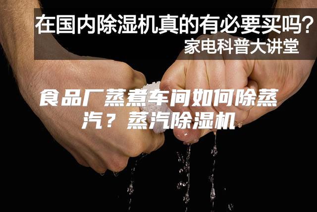 食品厂蒸煮车间如何除蒸汽？蒸汽除湿机