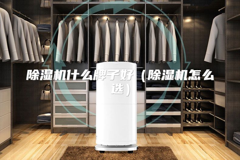 除湿机什么牌子好（除湿机怎么选）