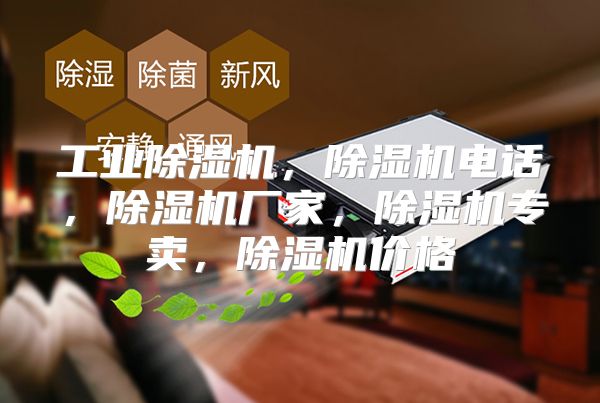工业除湿机，除湿机电话，除湿机厂家，除湿机专卖，除湿机价格