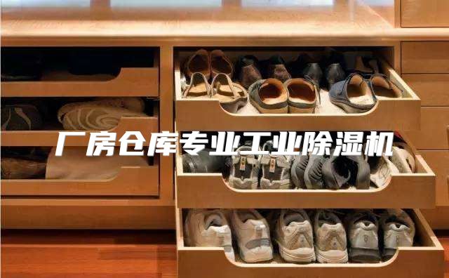 厂房仓库专业工业除湿机