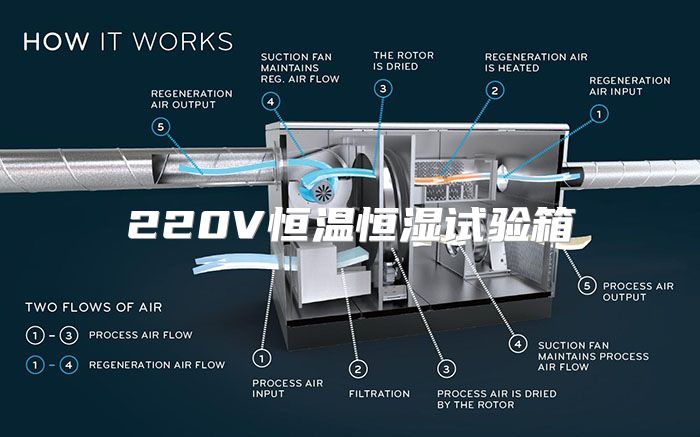 220V恒温恒湿试验箱