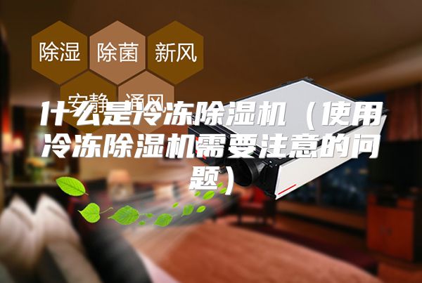什么是冷冻除湿机（使用冷冻除湿机需要注意的问题）