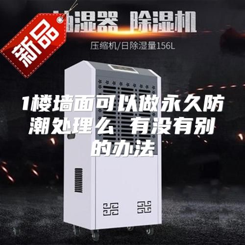 1楼墙面可以做永久防潮处理么 有没有别的办法