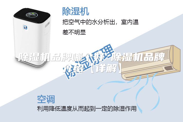 除湿机品牌哪个好 除湿机品牌介绍【详解】
